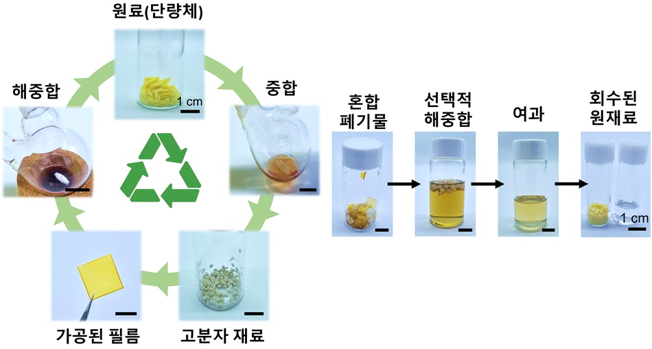 TOP 환경개발 이미지